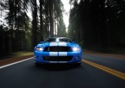 Shelby Cobra GT500 Show Car